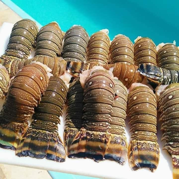 Pousada A Vida E Bela Águas Belas المظهر الخارجي الصورة